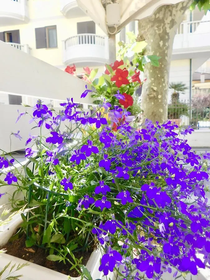 ***  Hotel Dolores Rimini Italien